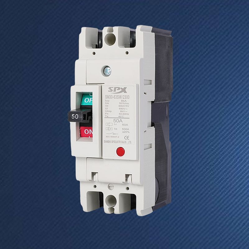 Waarom kiezen voor een 2P 63A stroomonderbreker met gegoten behuizing voor uw elektrische behoeften