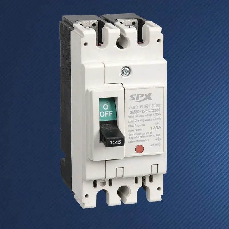 2P 125A stroomonderbreker met gegoten behuizing